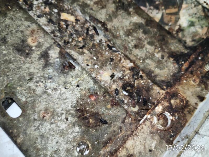 Ilustrační fotografie č. 21