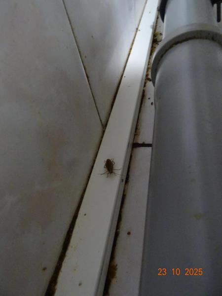 Ilustrační fotografie č. 6