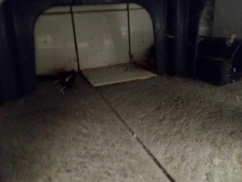 Ilustrační fotografie č. 13