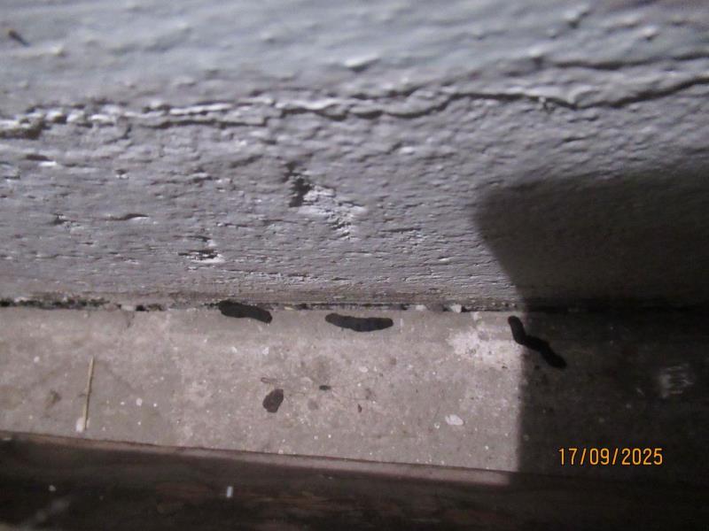 Illustrative photo no. 9