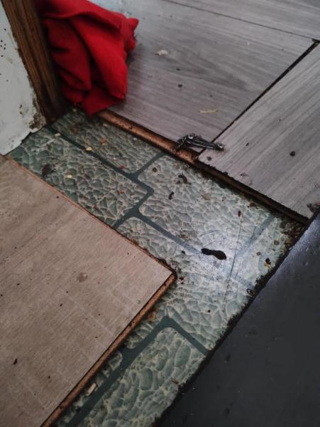 Illustrative photo no. 2