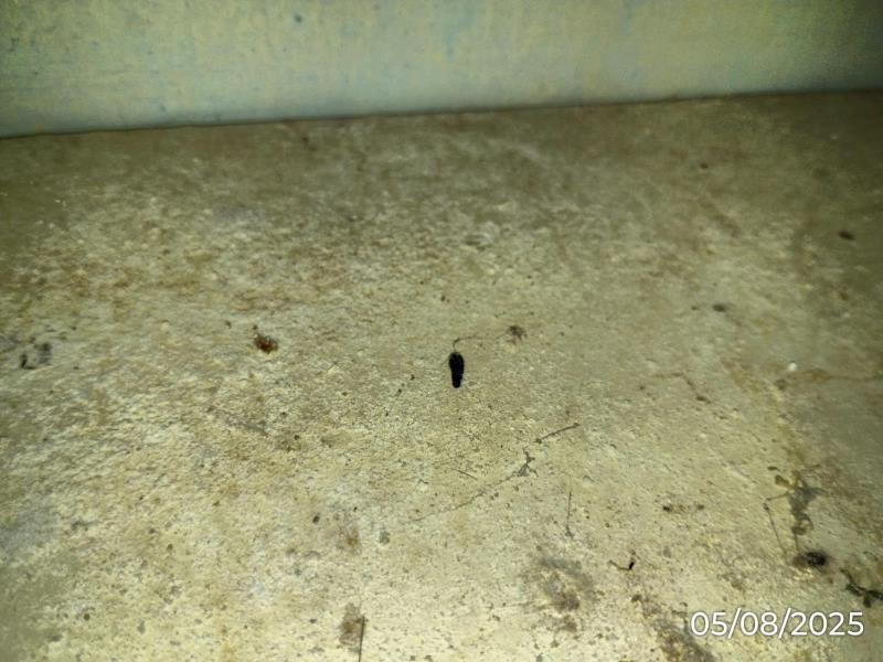 Ilustrační fotografie č. 10