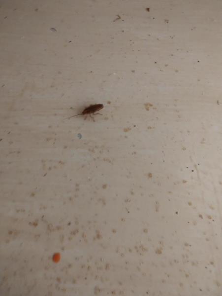 Ilustrační fotografie č. 12