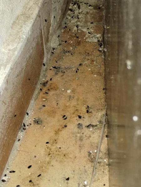 Ilustrační fotografie č. 4