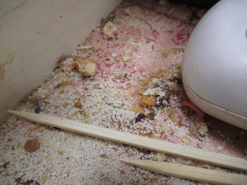 Ilustrační fotografie č. 23