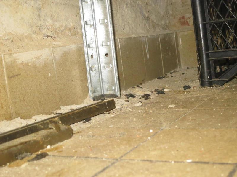 Ilustrační fotografie č. 8