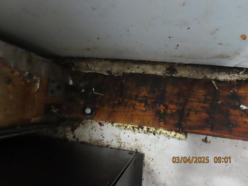 Ilustrační fotografie č. 9