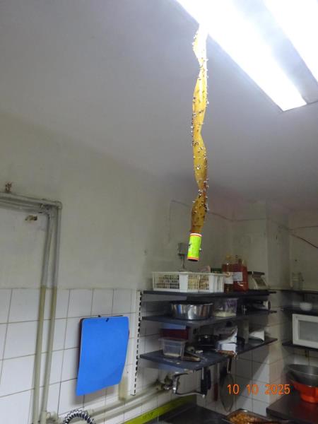 Ilustrační fotografie č. 2