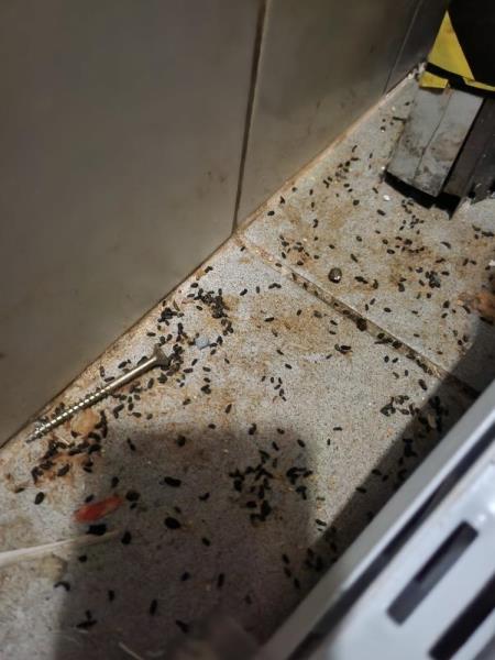 Ilustrační fotografie č. 5