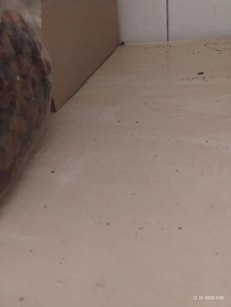 Ilustrační fotografie č. 4