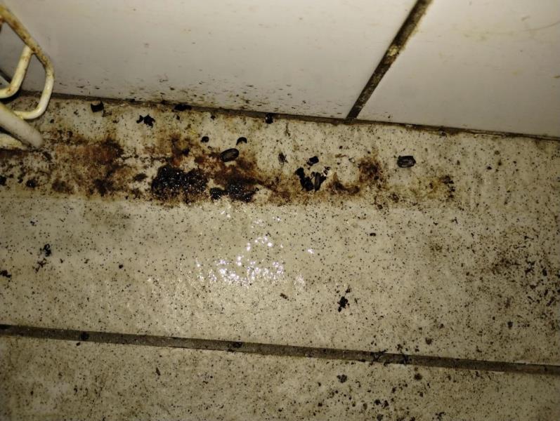 Ilustrační fotografie č. 7