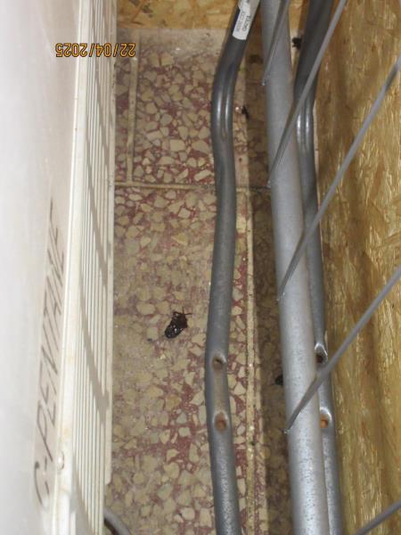 Ilustrační fotografie č. 8