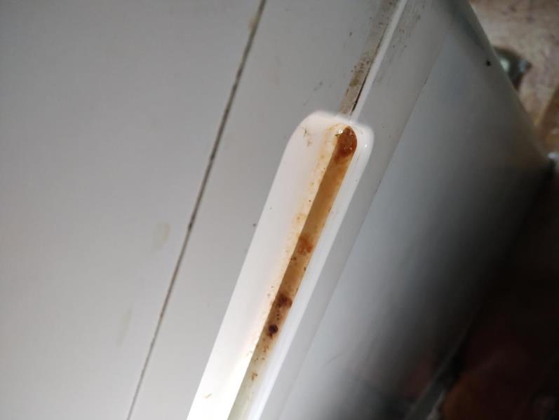 Illustrative photo no. 24