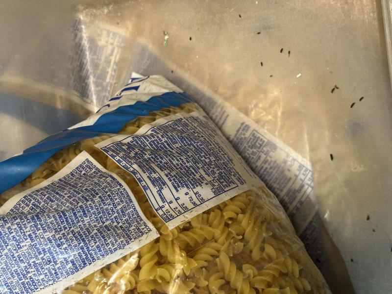 Ilustrační fotografie č. 6