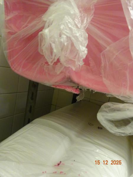 Ilustrační fotografie č. 3