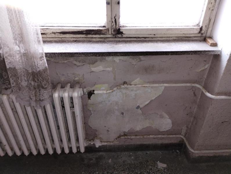 Illustrative photo no. 6