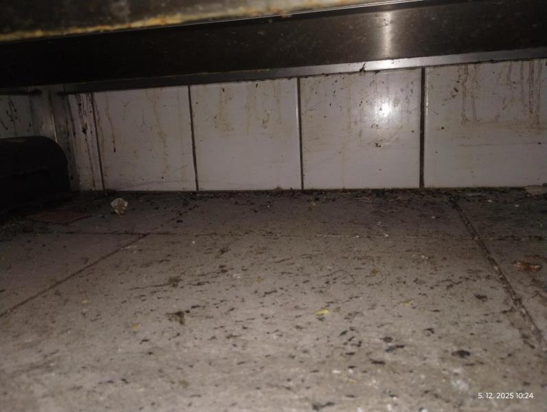 Ilustrační fotografie č. 5