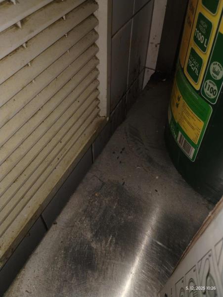 Ilustrační fotografie č. 3