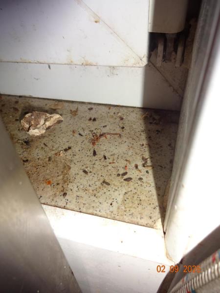 Illustrative photo no. 10