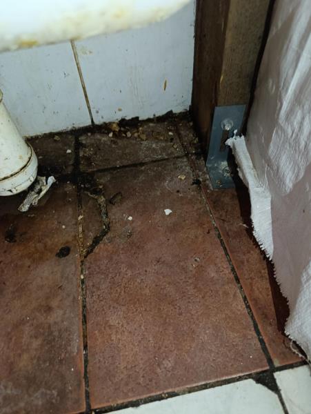 Illustrative photo no. 3