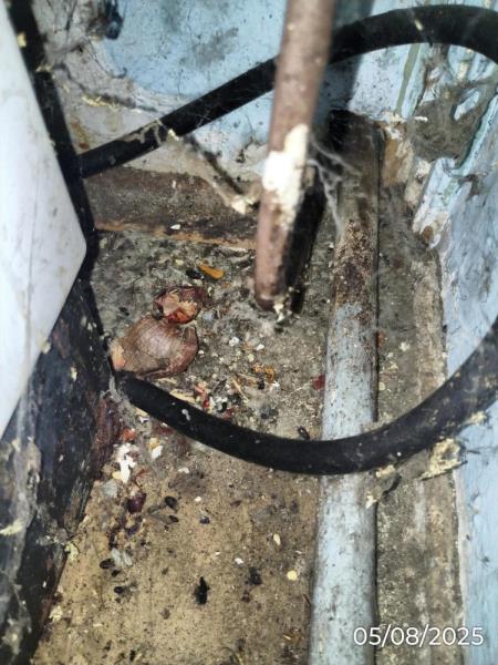 Ilustrační fotografie č. 12