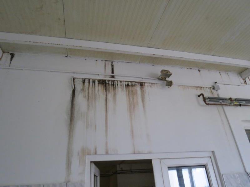 Illustrative photo no. 3