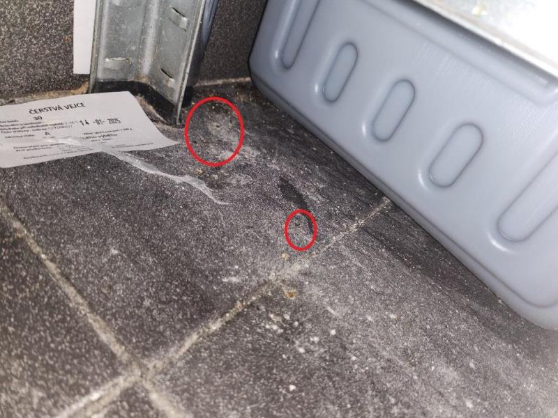 Ilustrační fotografie č. 3