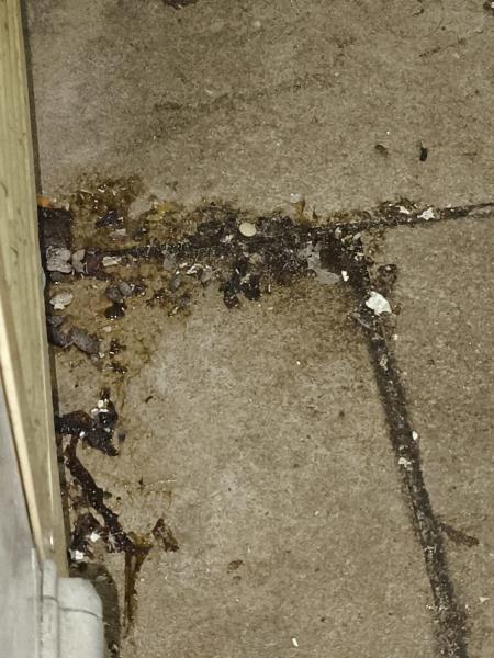 Ilustrační fotografie č. 12