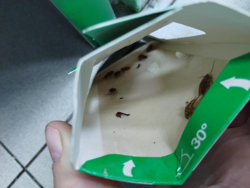 Ilustrační fotografie č. 2