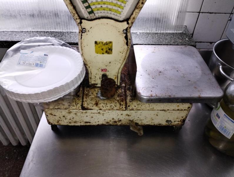 Illustrative photo no. 15