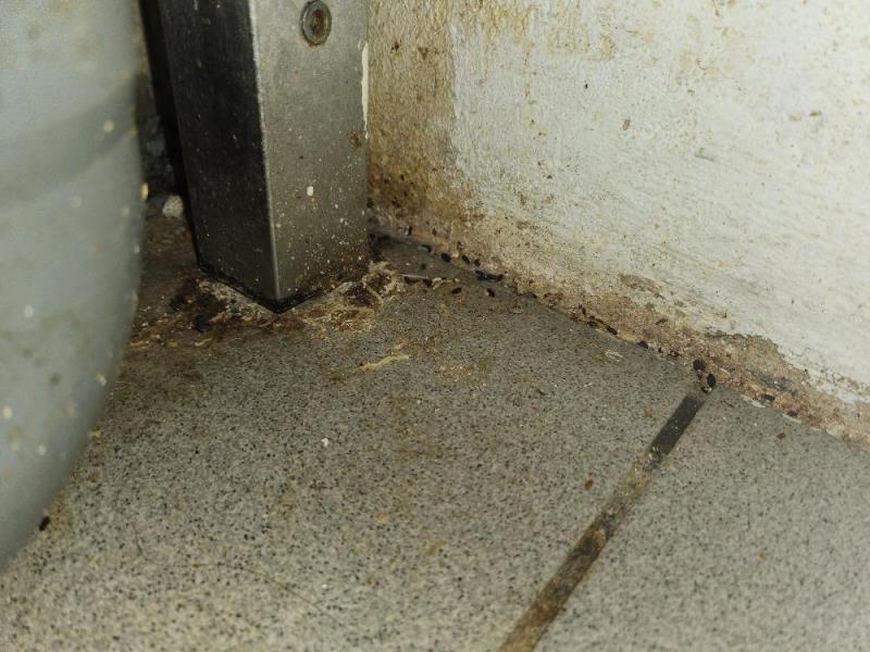 Ilustrační fotografie č. 14