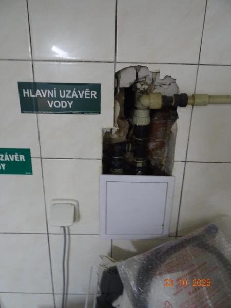 Ilustrační fotografie č. 16