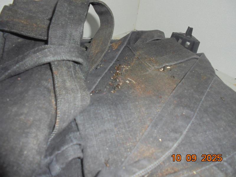 Ilustrační fotografie č. 12