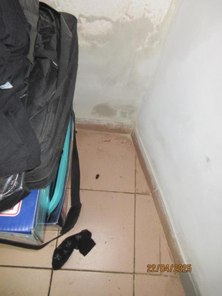 Ilustrační fotografie č. 2