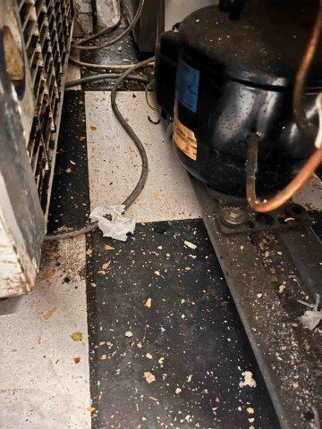 Ilustrační fotografie č. 6