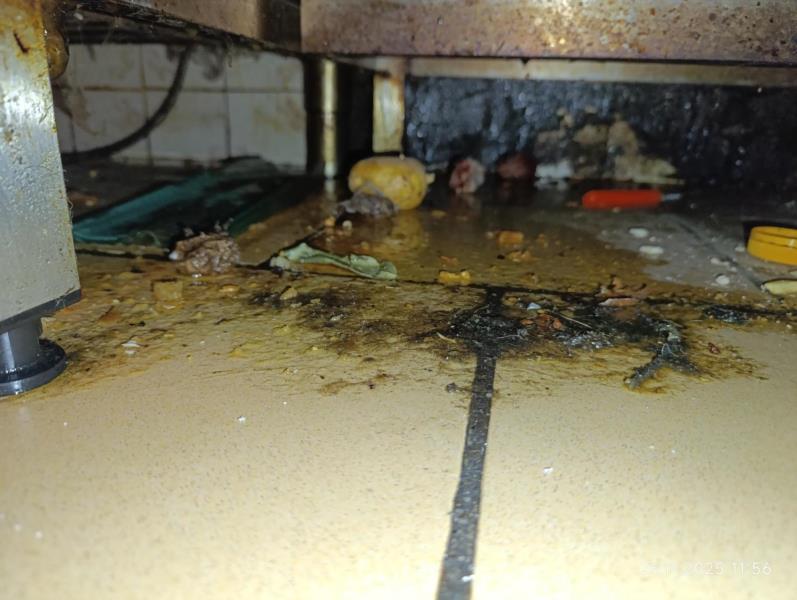 Ilustrační fotografie č. 7