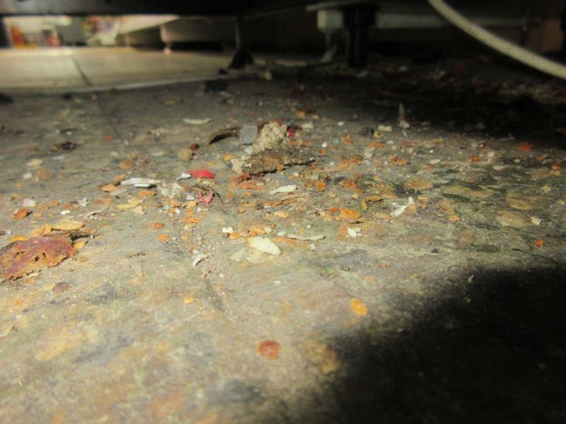 Illustrative photo no. 5