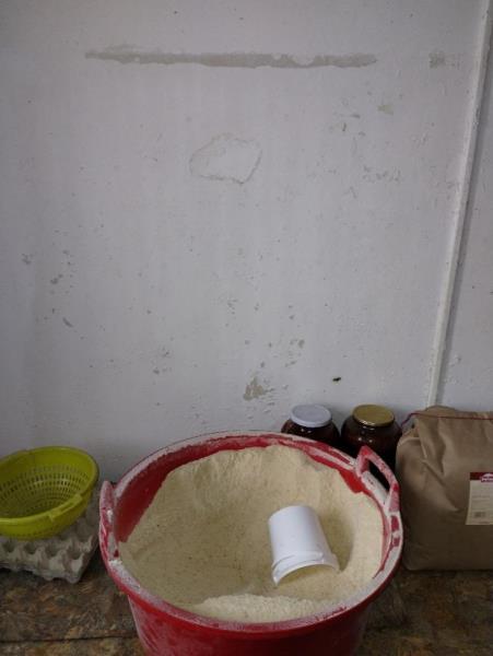 Illustrative photo no. 19