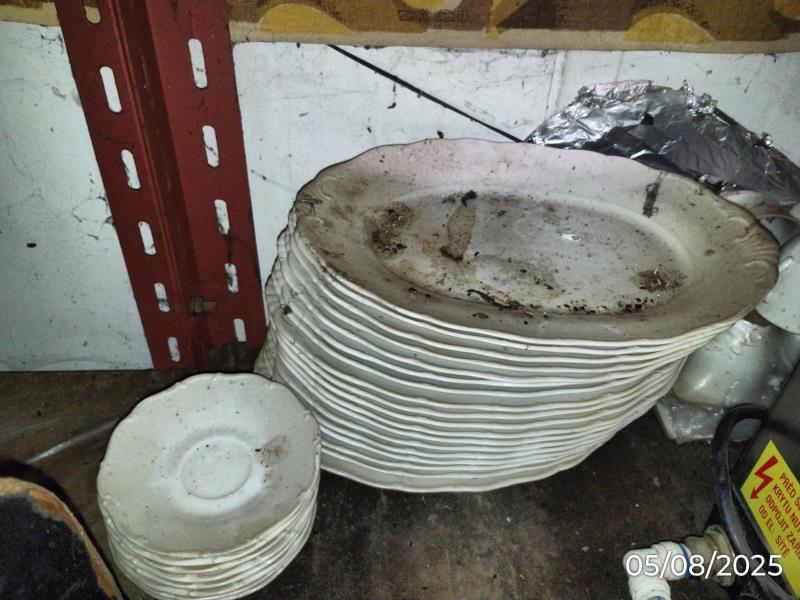 Ilustrační fotografie č. 13