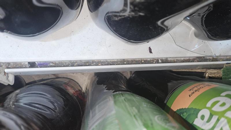 Ilustrační fotografie č. 16