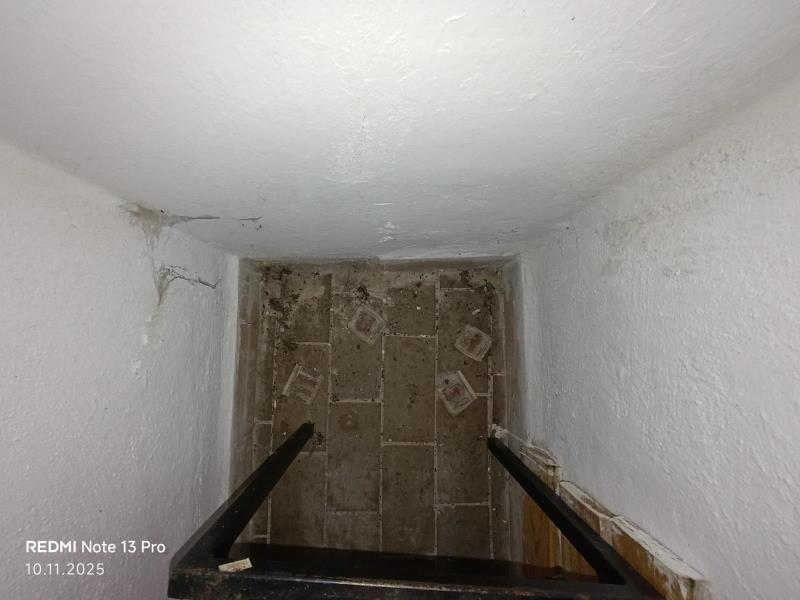 Illustrative photo no. 15