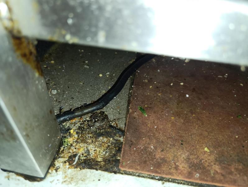 Illustrative photo no. 6