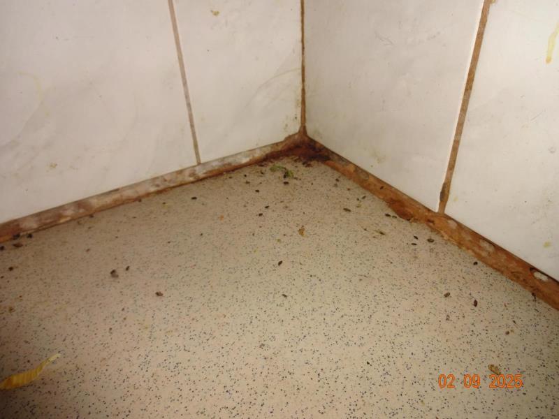 Illustrative photo no. 2