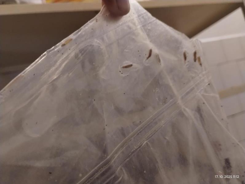 Ilustrační fotografie č. 17