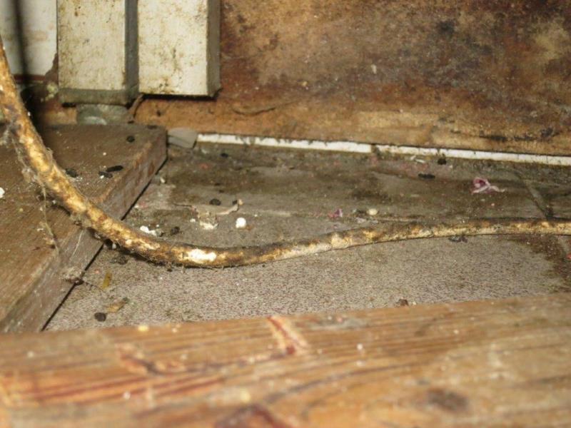 Ilustrační fotografie č. 14