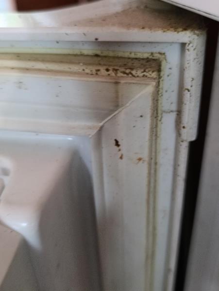 Illustrative photo no. 4