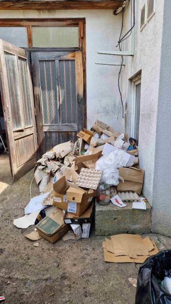 Ilustrační fotografie č. 15