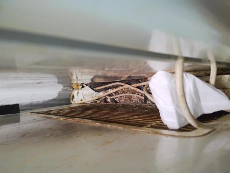 Illustrative photo no. 30