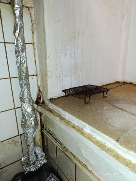 Ilustrační fotografie č. 5