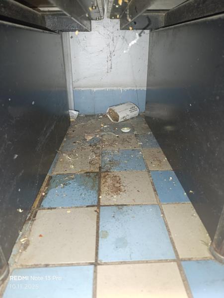 Illustrative photo no. 11